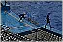 31_Gennaio 015 - 163 KB