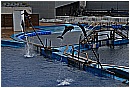 31_Gennaio 022 - 189 KB