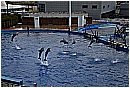 31_Gennaio 023 - 218 KB