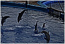31_Gennaio 024 - 183 KB
