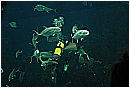 31_Gennaio 027 - 129 KB