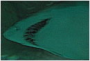 31_Gennaio 041 - 170 KB