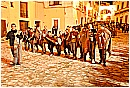 31_Gennaio 172 - 236 KB