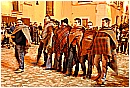 31_Gennaio 188 - 226 KB