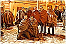 31_Gennaio 206 - 273 KB