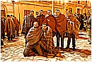 31_Gennaio 207 - 263 KB