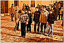 31_Gennaio 209 - 231 KB