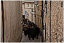 01_Febbraio 084 - 137 KB