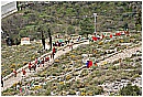 02c_Febbraio 498 - 292 KB