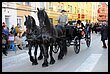 16A_7707.JPG