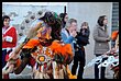 16A_7803.JPG