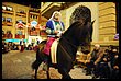16A_7970.JPG