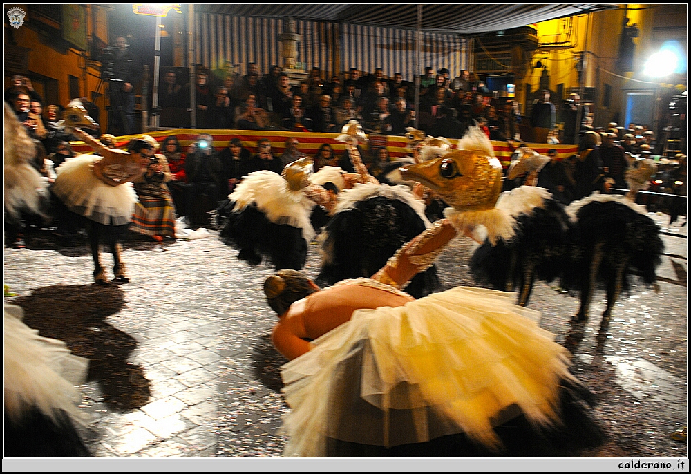 16A_8185.JPG