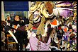 16A_8061.JPG