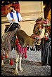 16A_8151.jpg