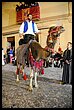 16A_8153.jpg