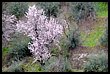 16B_0365.JPG