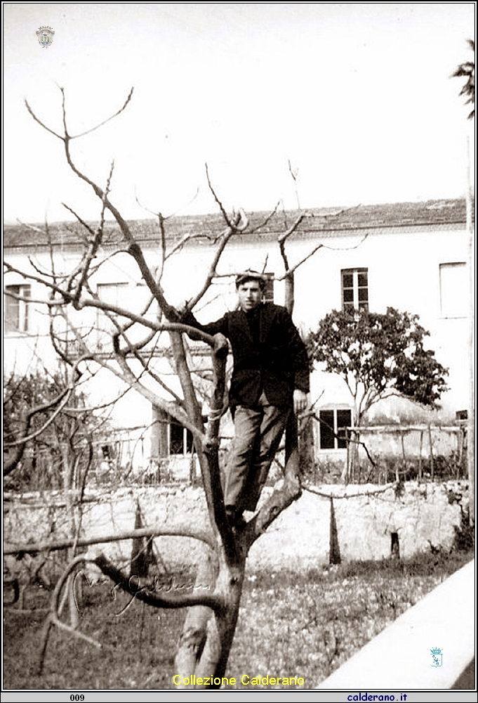 Leo Cerrato.jpg