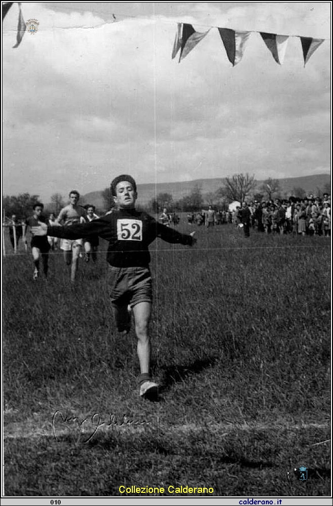 Gara di corsa campestre.jpg
