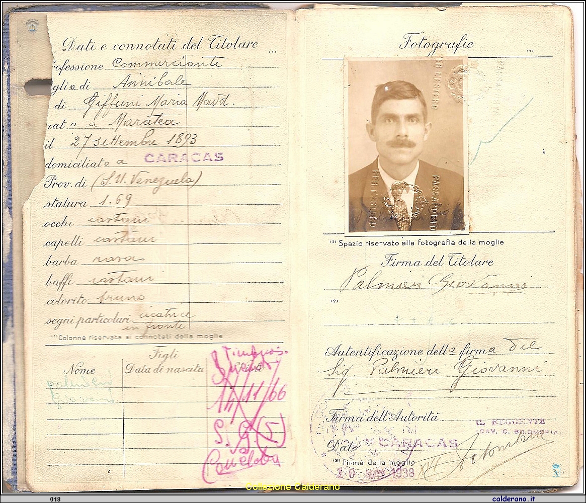 Passaporto di Giovanni Palmieri.jpg
