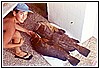 Pilu e le cernie 1973.jpg