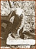 Libani - Mentre si Ammazzucca la tagliamano.jpg