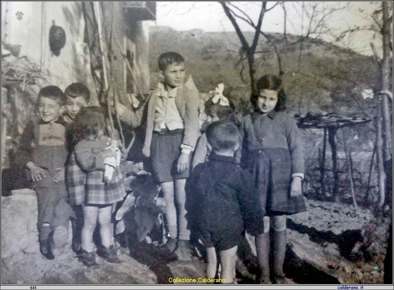 Fratelli Liberatore e Lammoglia.jpg
