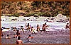 Bagnanti sulla Spiaggia del Crivo.jpg