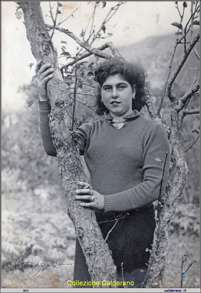 Gisella.jpeg