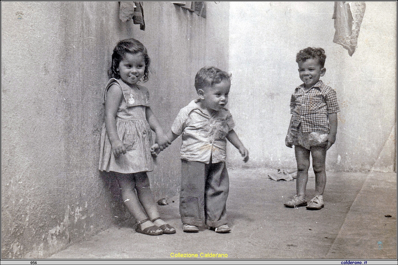 Carmelina e Vicente Tortorella e Angelo Minervini 1956.jpeg