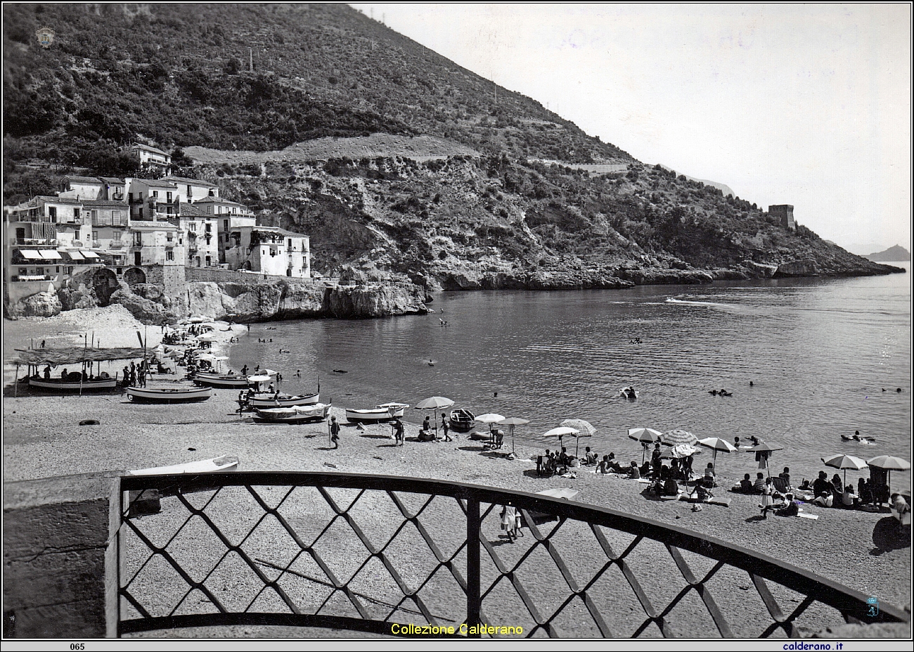 La spiaggia del Porto 1962.jpeg