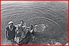 Aggrappate allo scoglio.jpg