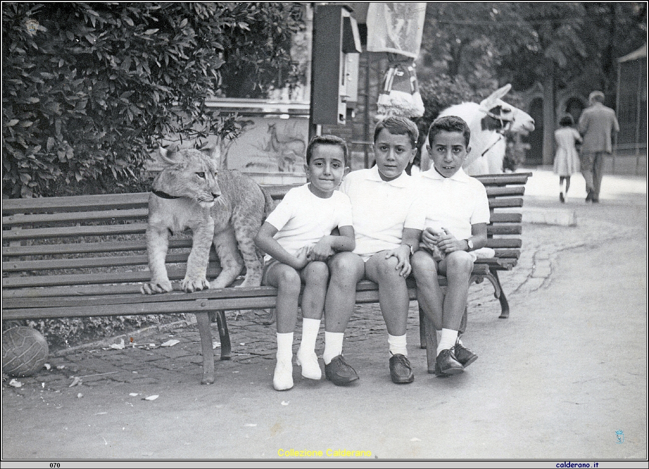 Loris, Pippo e Gianni Schettino col leone.jpeg
