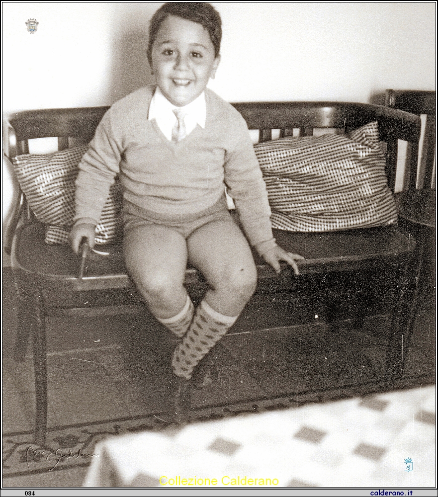Pippo sul divano.jpeg