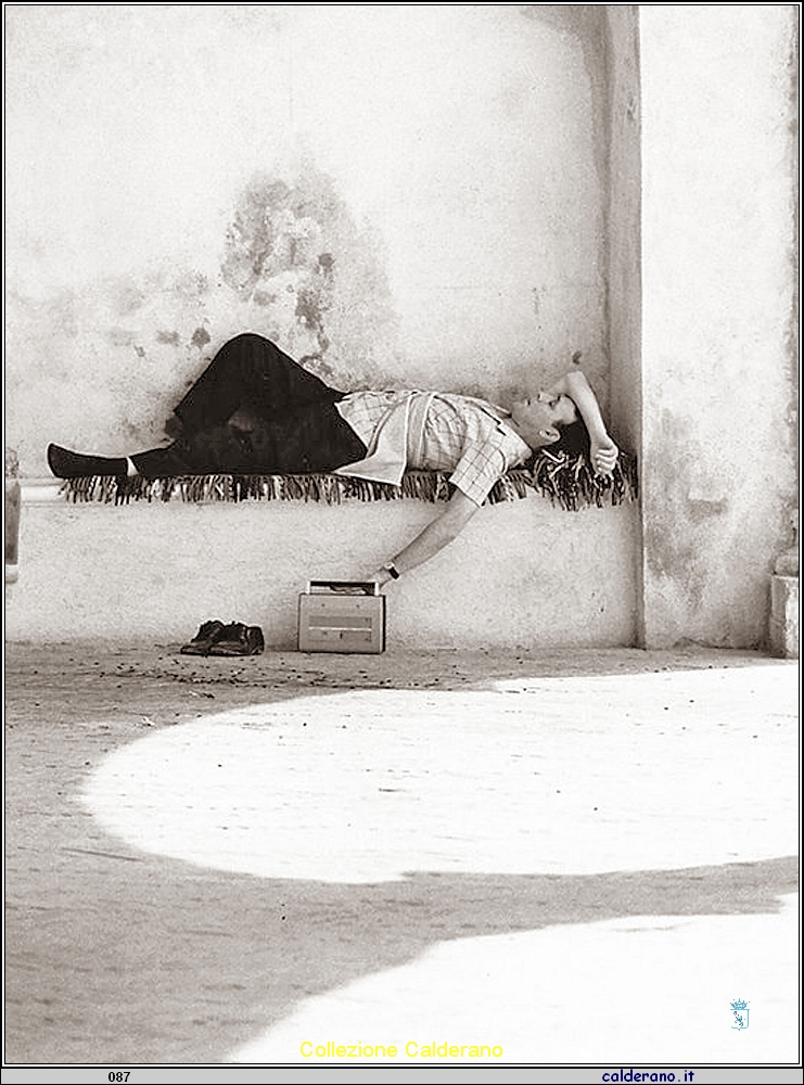 Pennichella sotto il porticato della Basilica del Castello.jpg