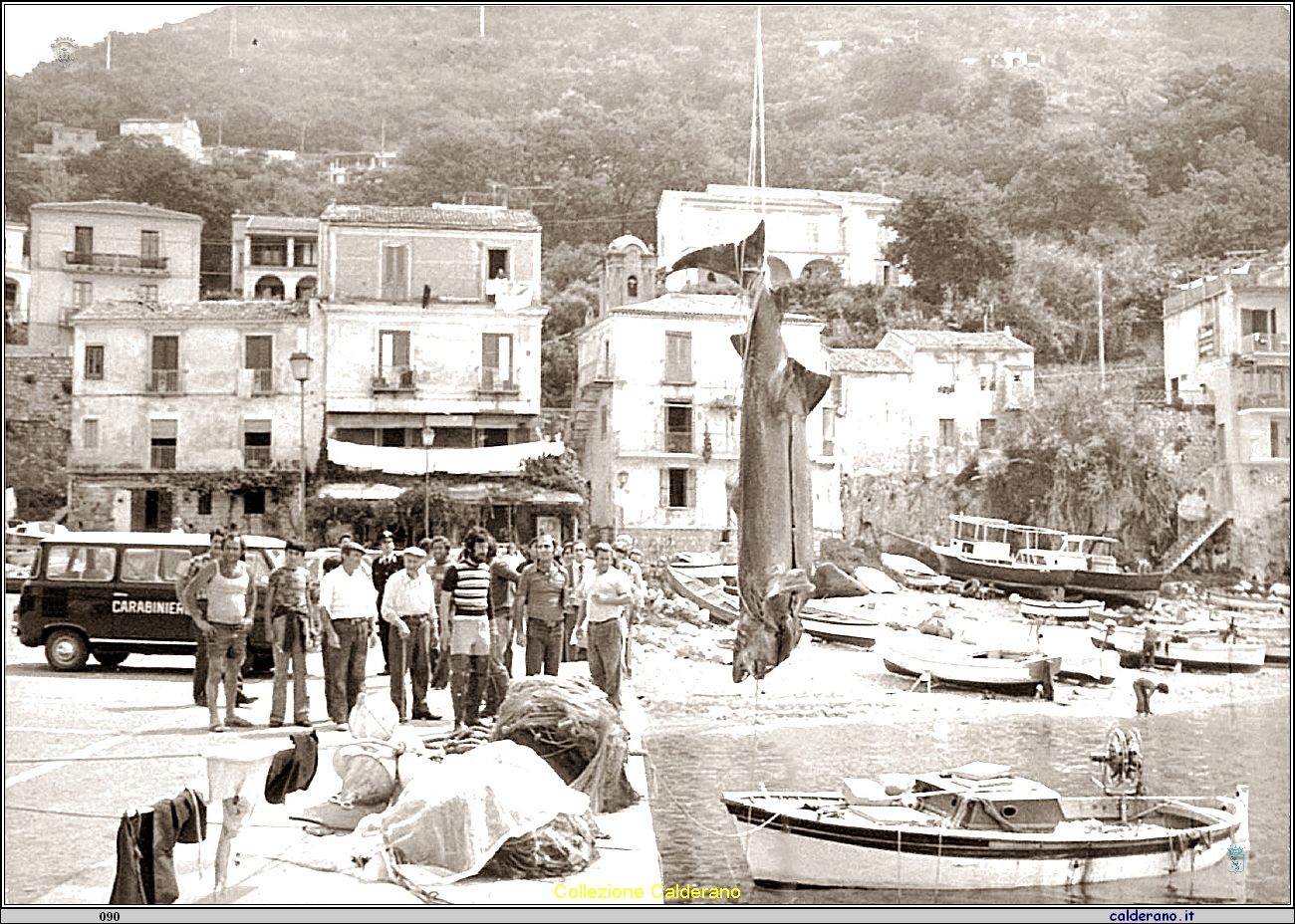 La grande preda al Porto.jpg