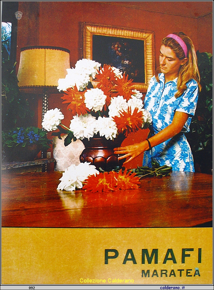 Pubblicita Pa.Ma.Fi. 1.JPG