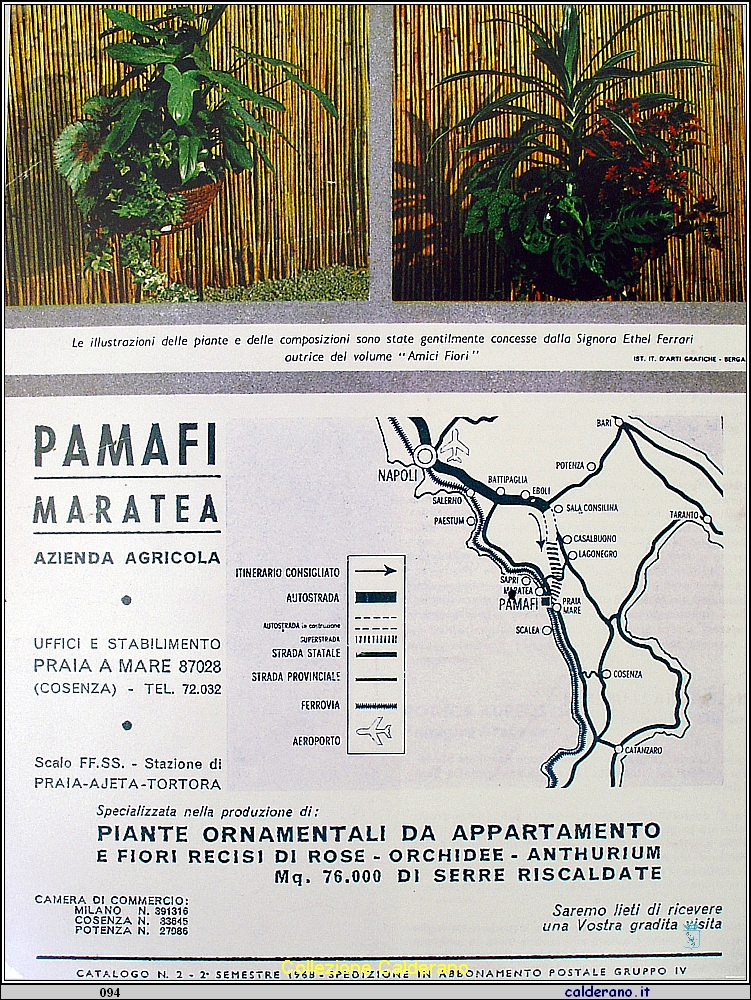 Pubblicita della PaMaFi 2.JPG