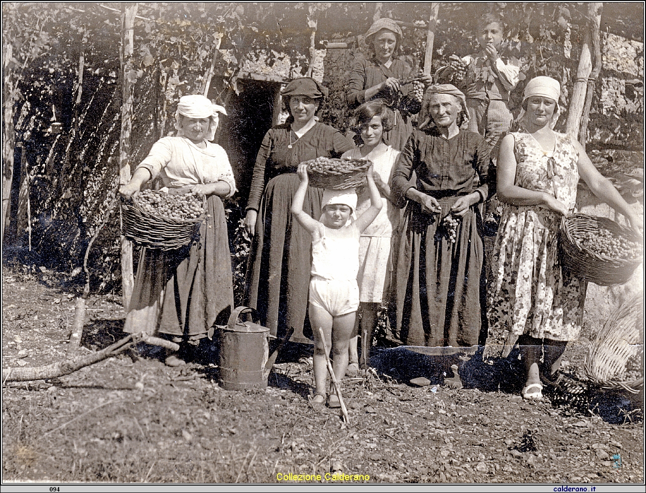 Vendemmia - 1940.jpg