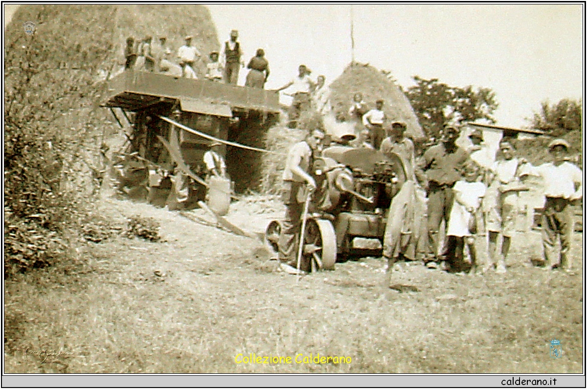Battaglia del grano con Pasquale Iannini.jpg