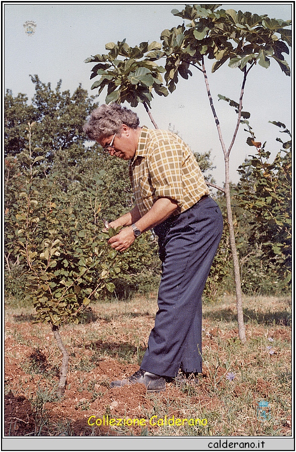 Carmine Pacchiano.jpg