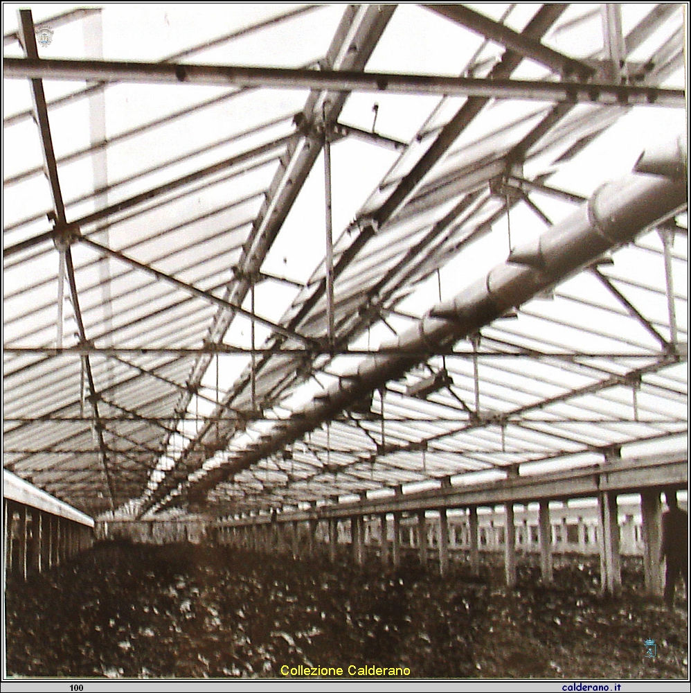 Costruzione Pa.Ma.Fi..jpg