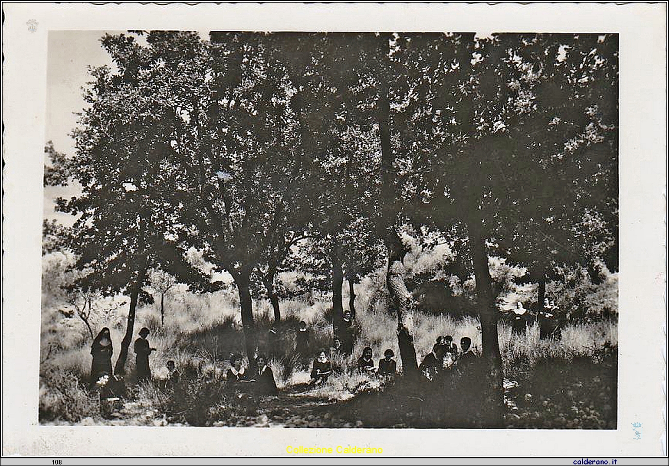 Cartolina - Istituto De Pino - ed SADEB.jpg