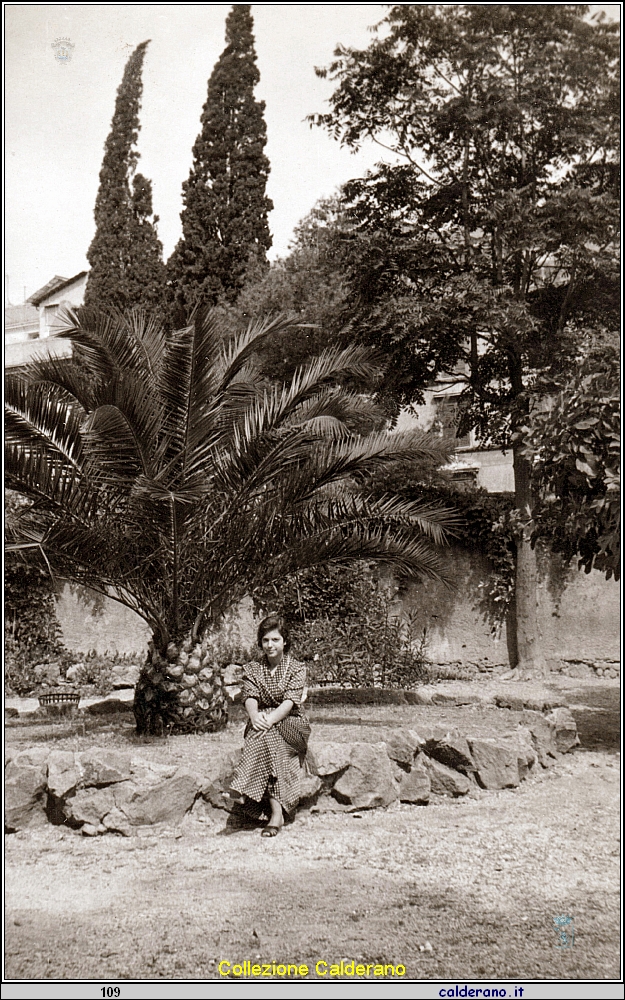 Liliana Colavolpe.jpeg