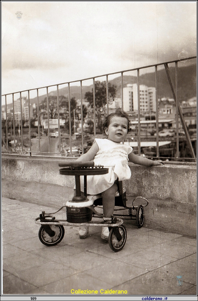 Patricia Limongi 114.jpeg