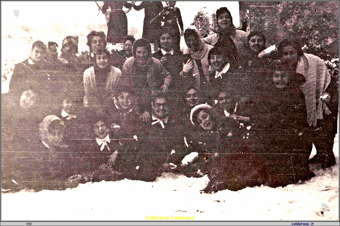 Alenne del De Pino nella neve .jpeg