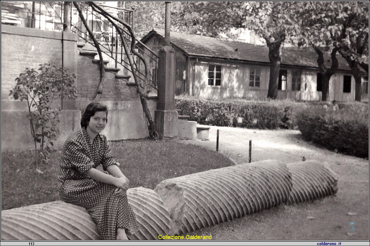 Liliana Colavolpe sulla colonna.jpeg