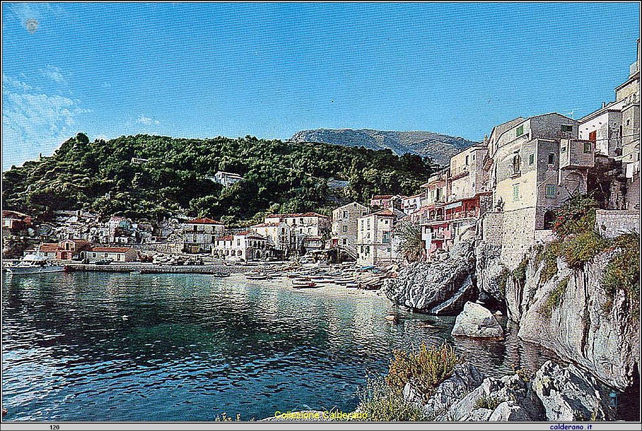 Cartolina - Il Porto .jpg