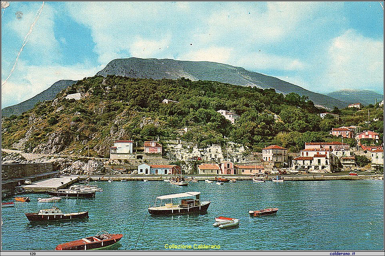 Cartolina - Porto -.jpg