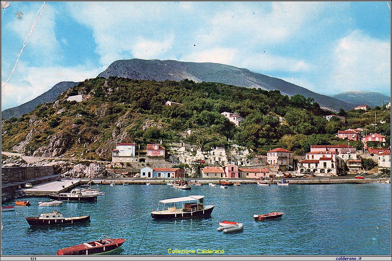 Cartolina - Il Porto .jpg